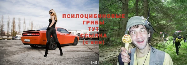 таблы Алзамай