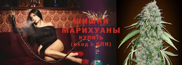 дживик Анива