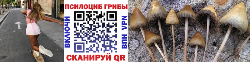 Галлюциногенные грибы мухоморы  Бокситогорск 